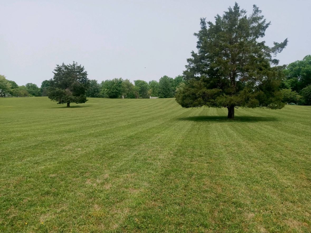 Large field mowed in stripes