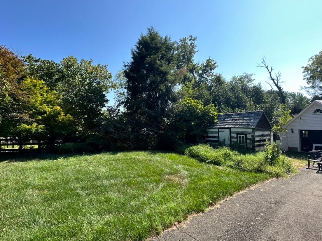 Healthy lawn running along a driveway